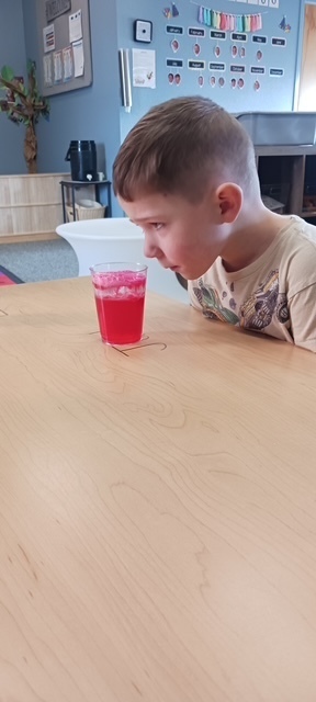 students learning about science