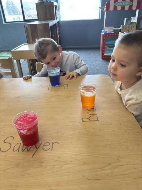 students learning about science