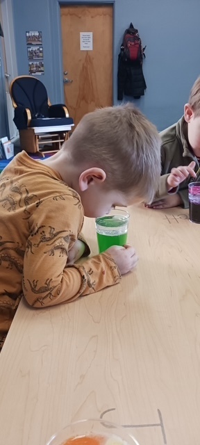 students learning about science