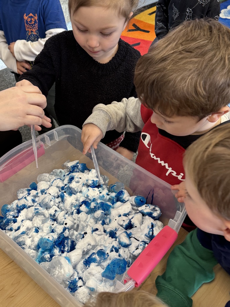 students learning about science