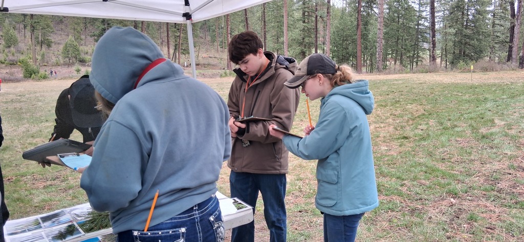 Forestry Competition