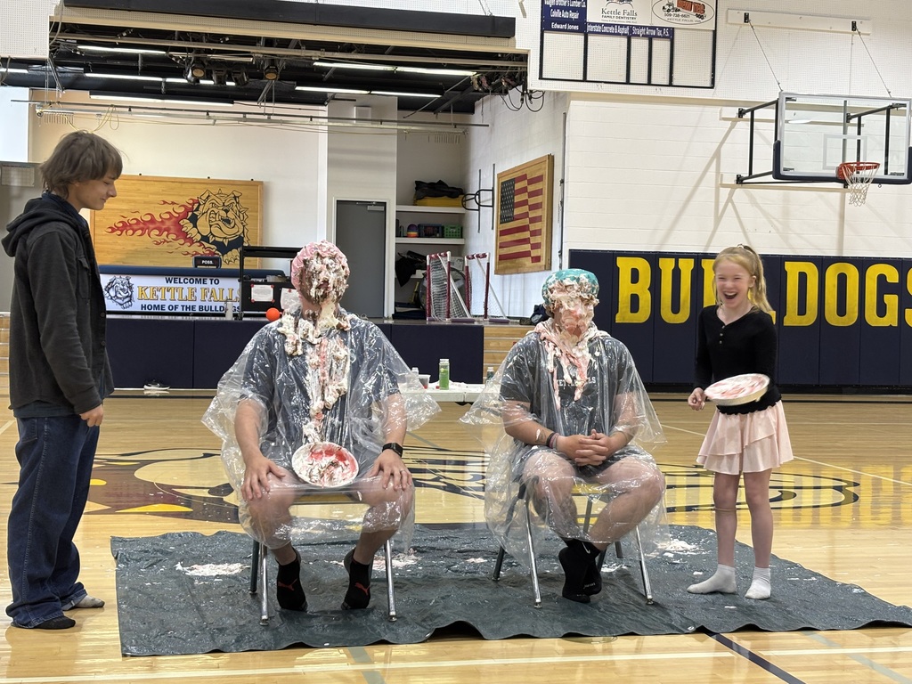 Pie in the Face!