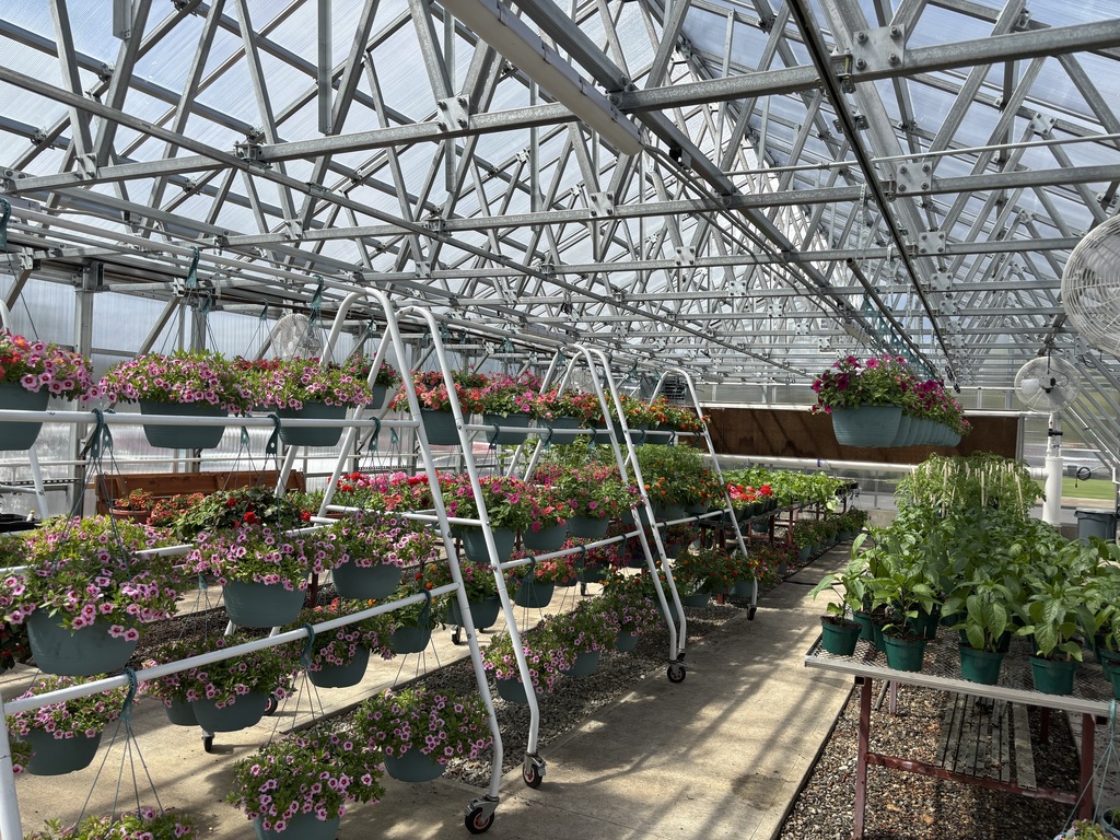 Plant Sale