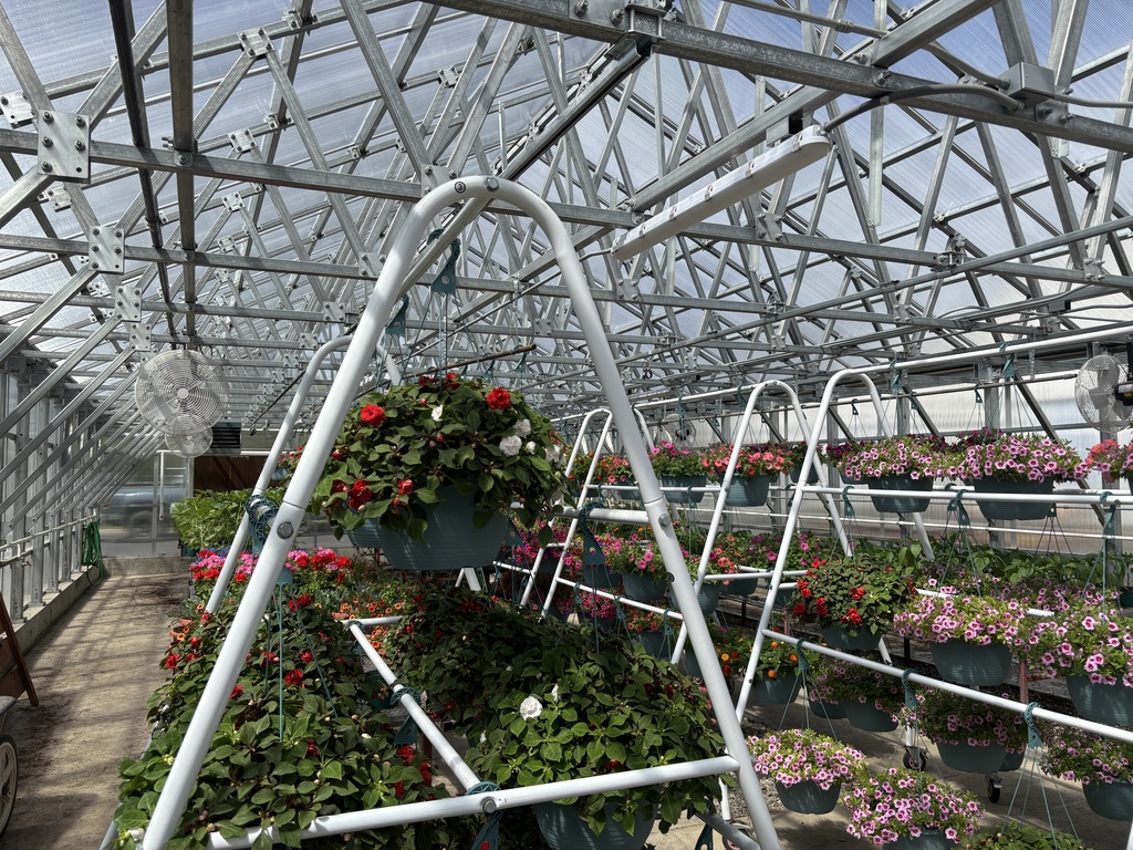 Plant Sale