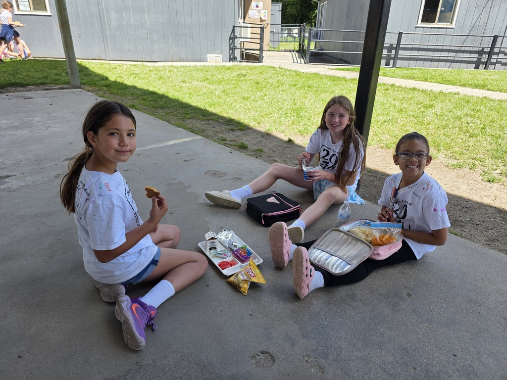 Students eating at outdoor picnic at field day.