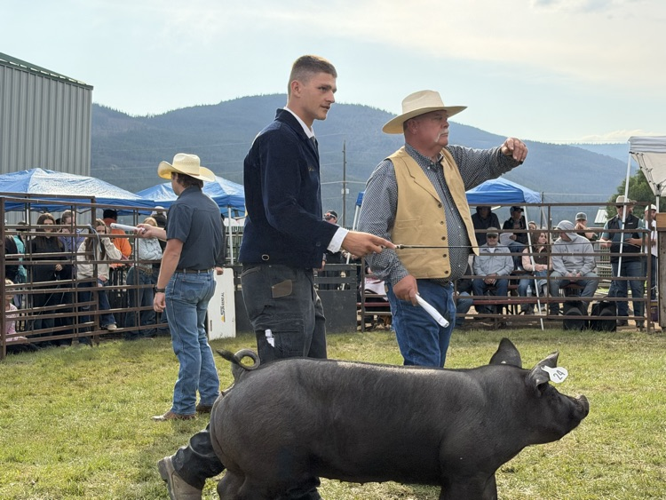 FFA at the Fair