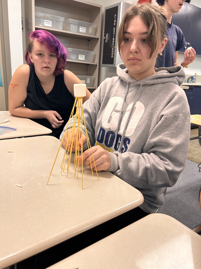 Marshmallow Challenge