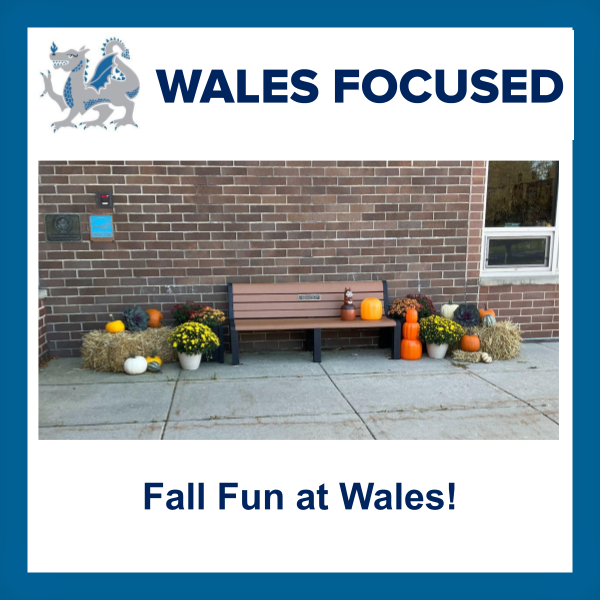Wales Focused 10/2/26