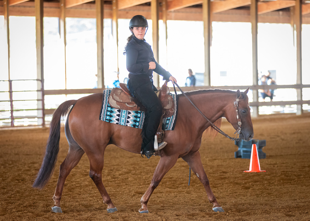 equestrian