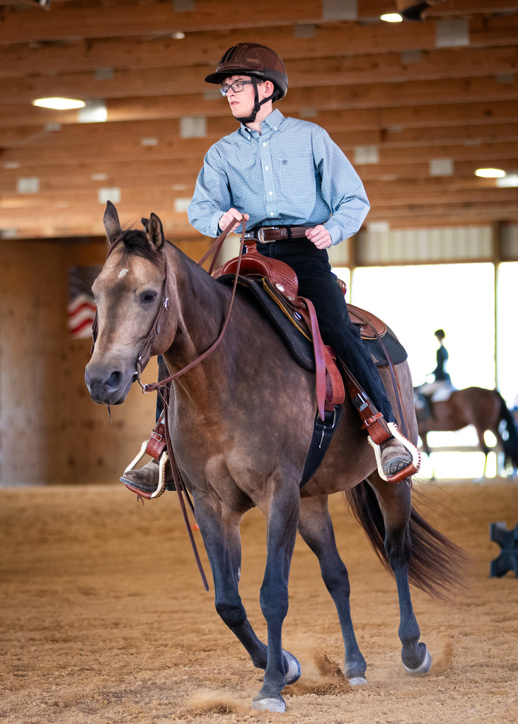 equestrian