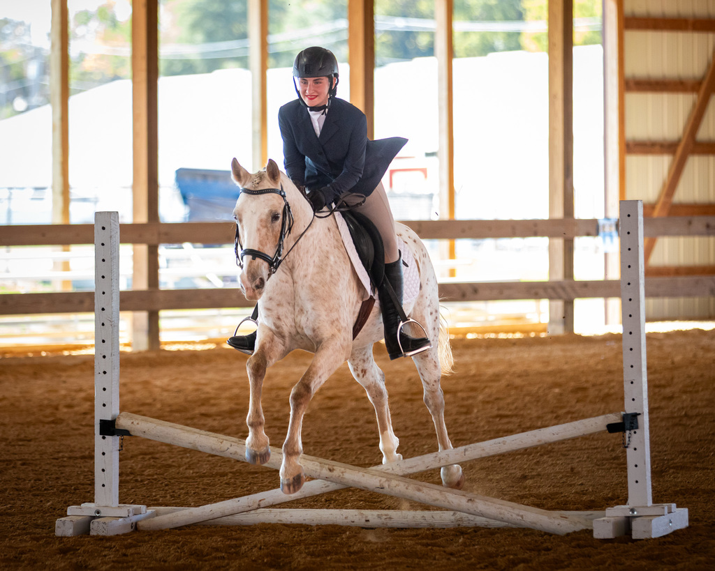 equestrian