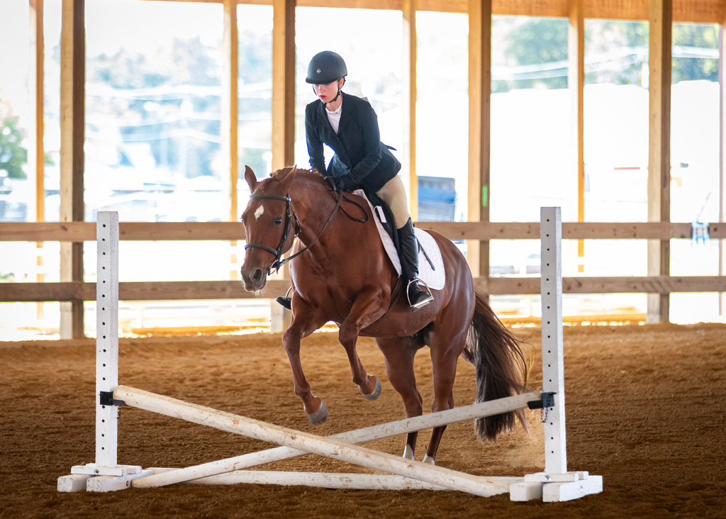equestrian