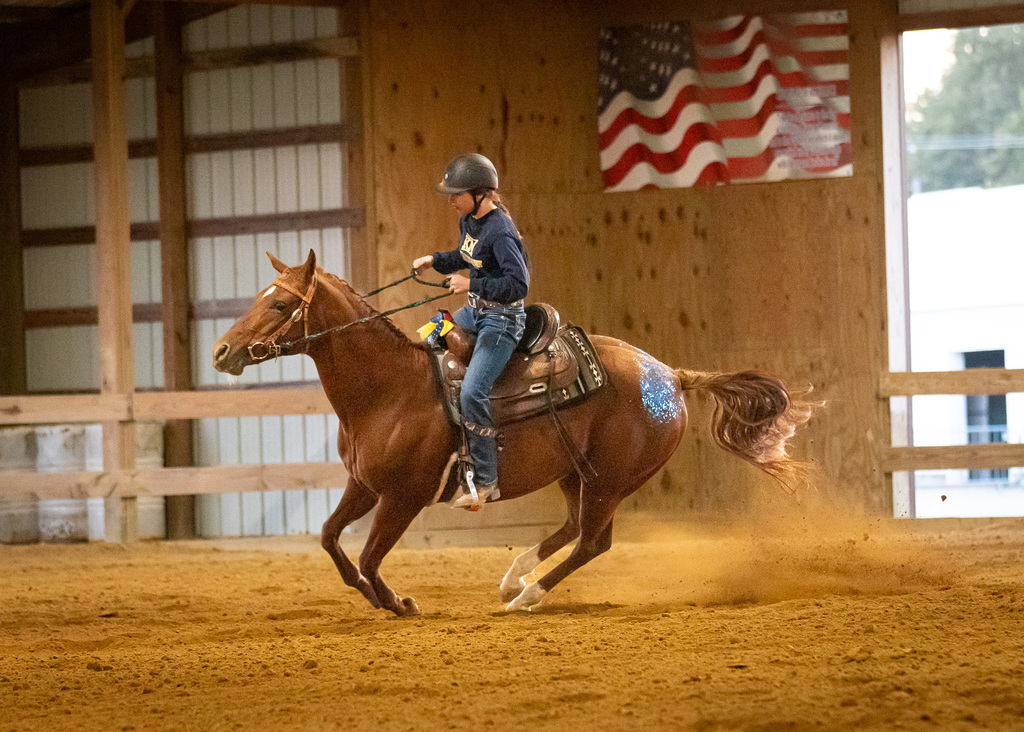 equestrian