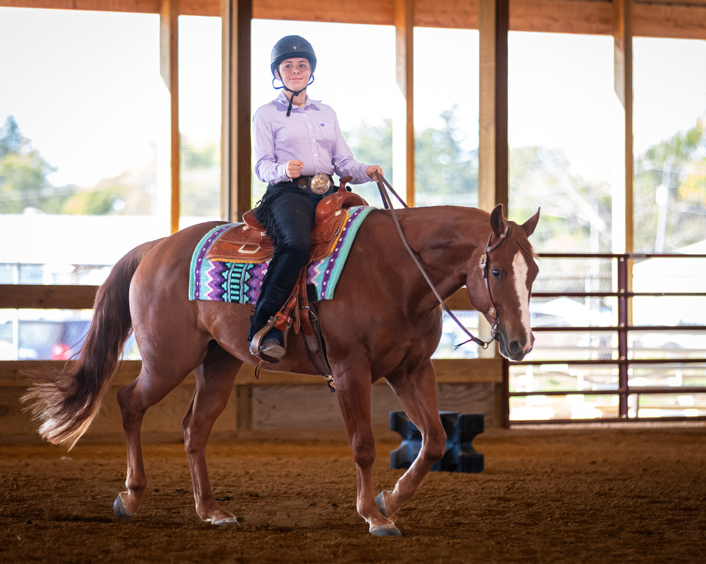 equestrian