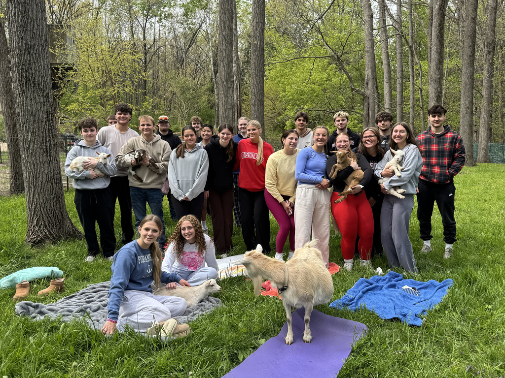 Goat Yoga