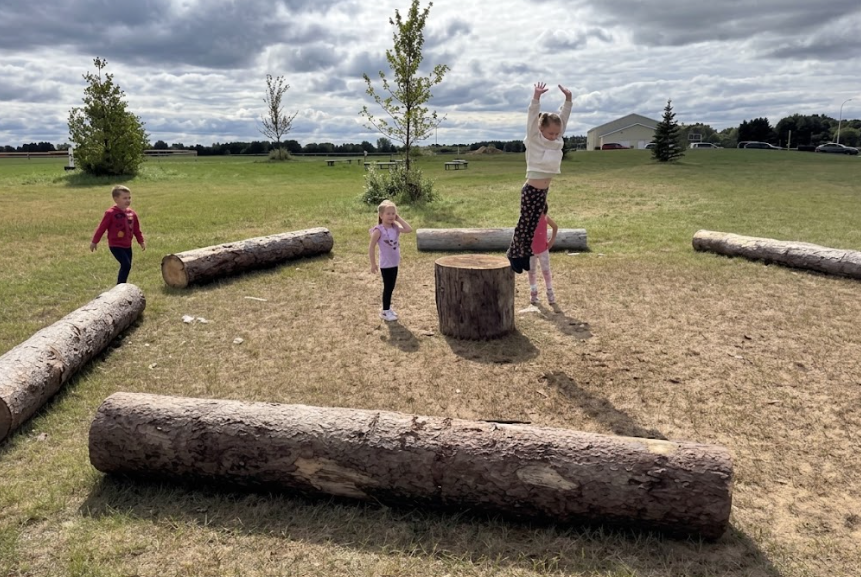 logs