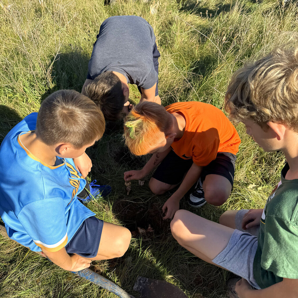 Explore Prairie