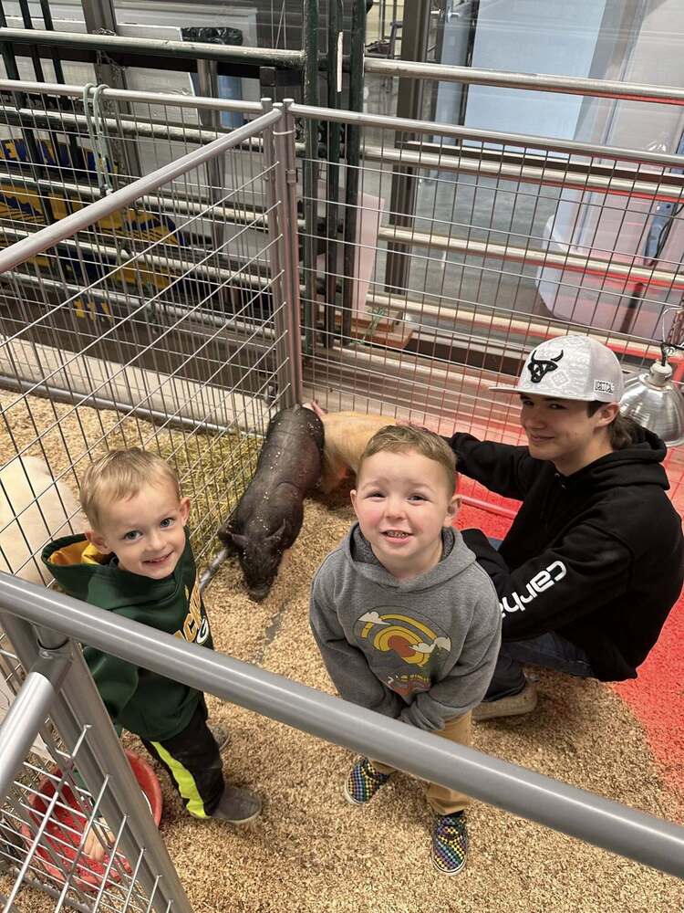 zoo