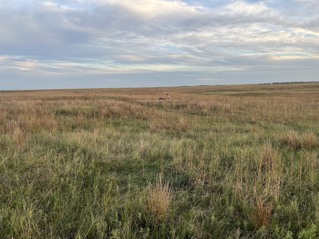 State Range Practice