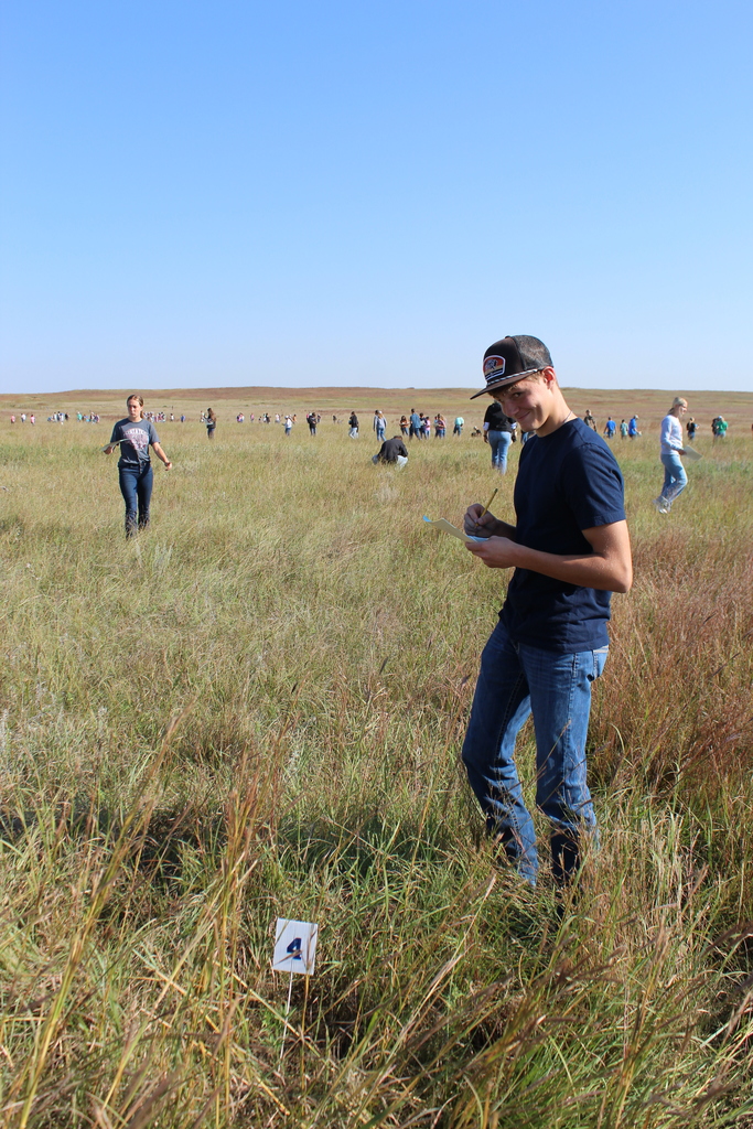 Zach Wiebelhaus working hard to identify the many different plants that the competitors observed throughout the day