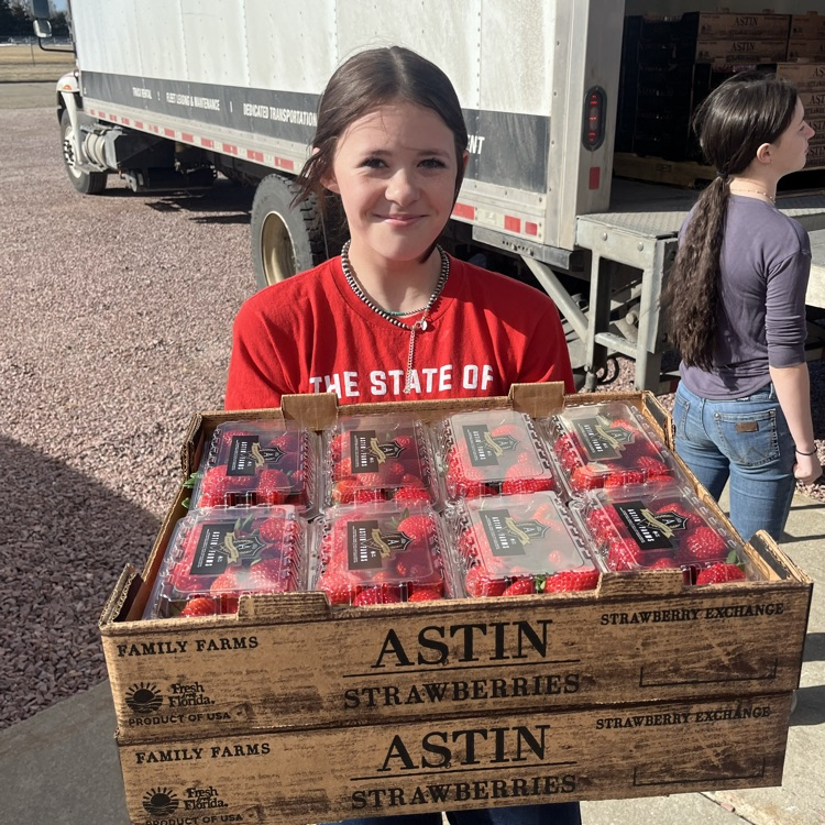 strawberries have arrived