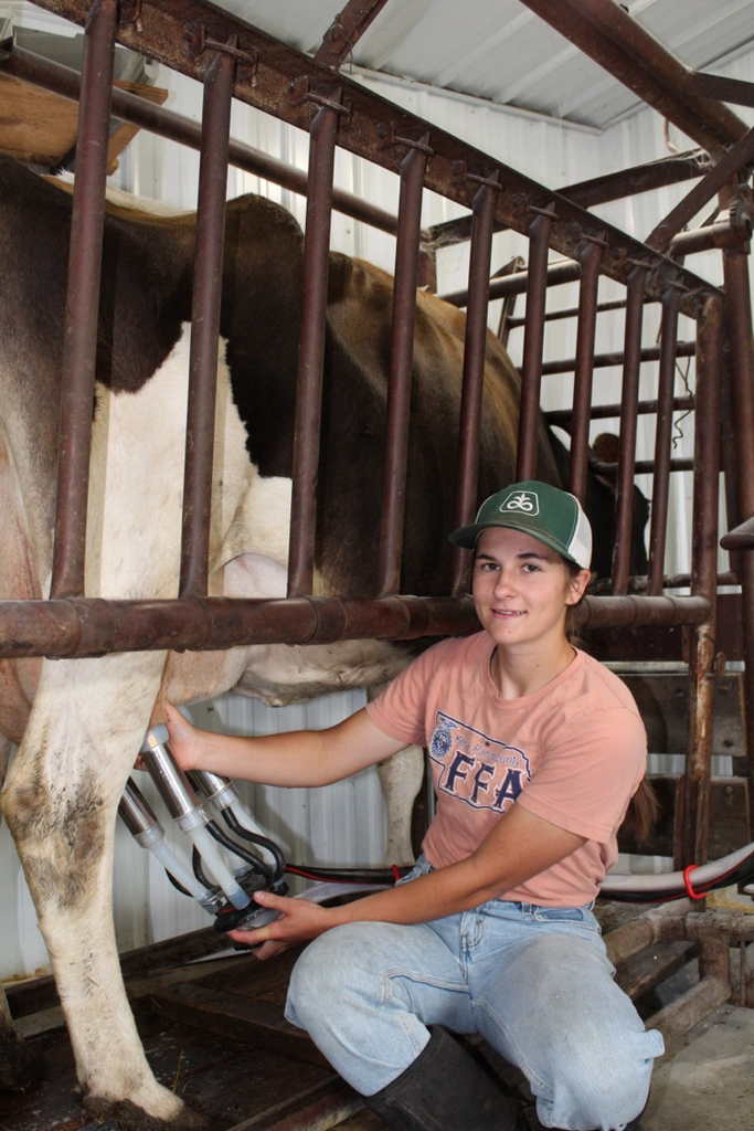 Milking