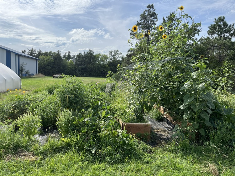 garden