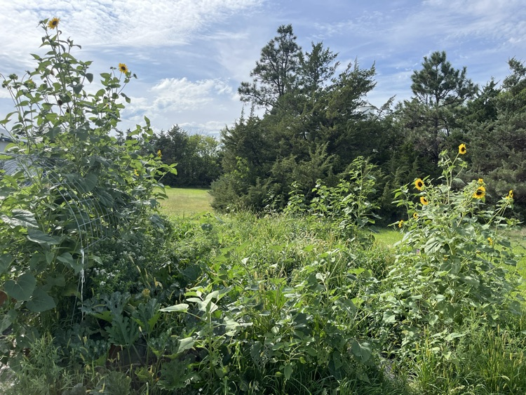 garden
