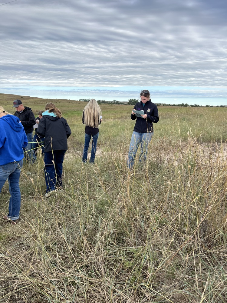 Range Judging