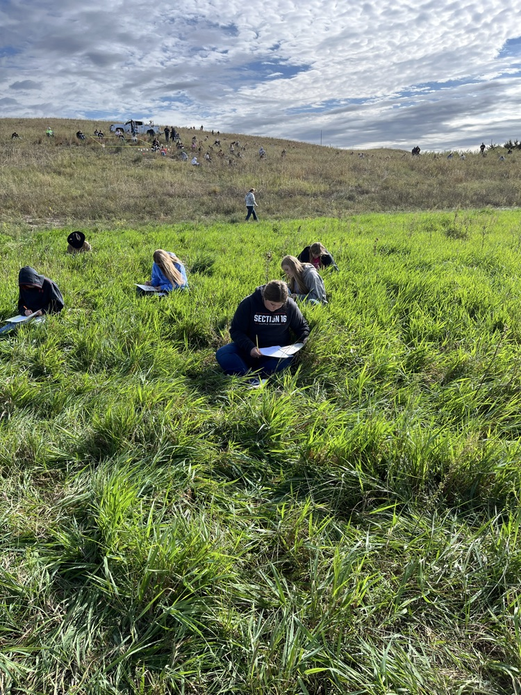 Range Judging