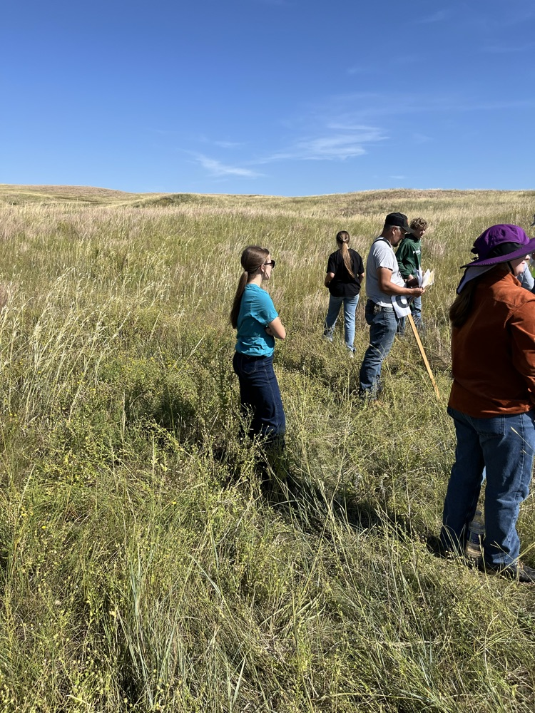 Range Judging
