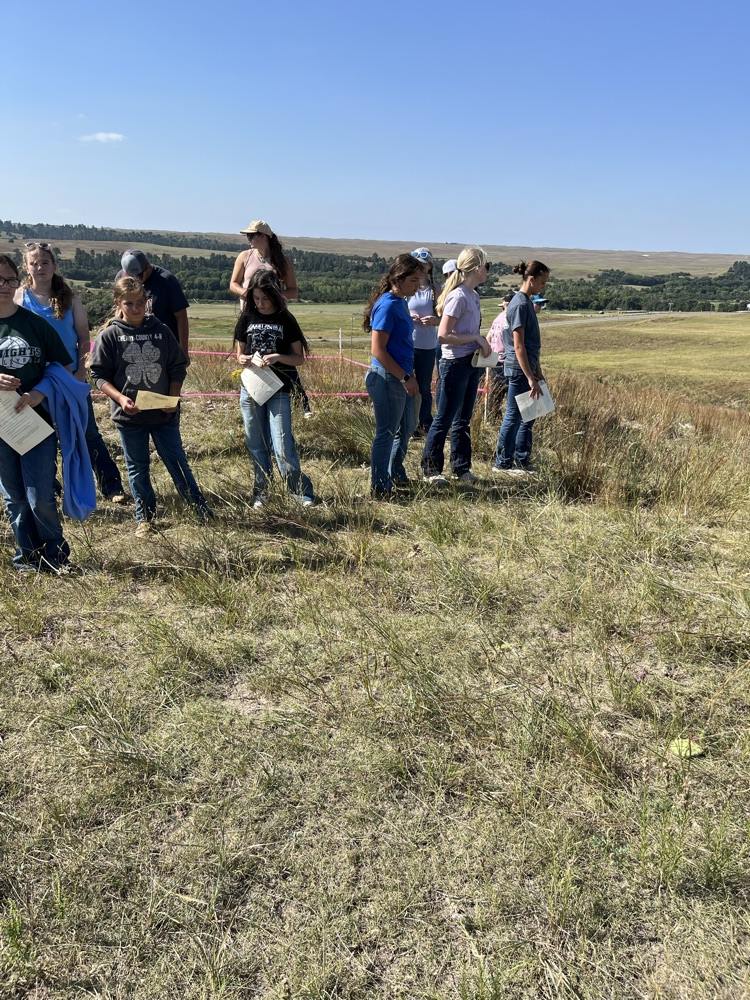 Range Judging