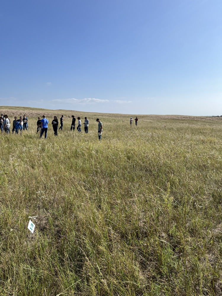 Range Judging