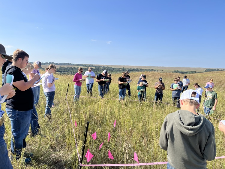 Range Judging