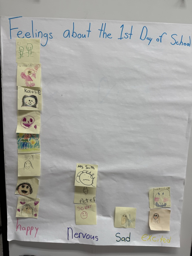 Today in 1st grade we made a bar graph showing our feelings about the first day of school.