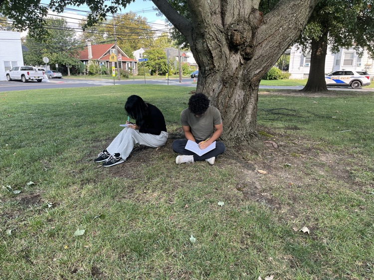 Mindful free writing