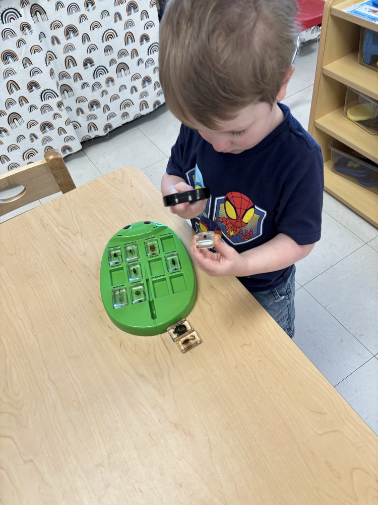 Exploring the areas in Pre-K! II