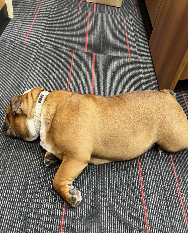 Chubbs is done working with Mr. Flynn