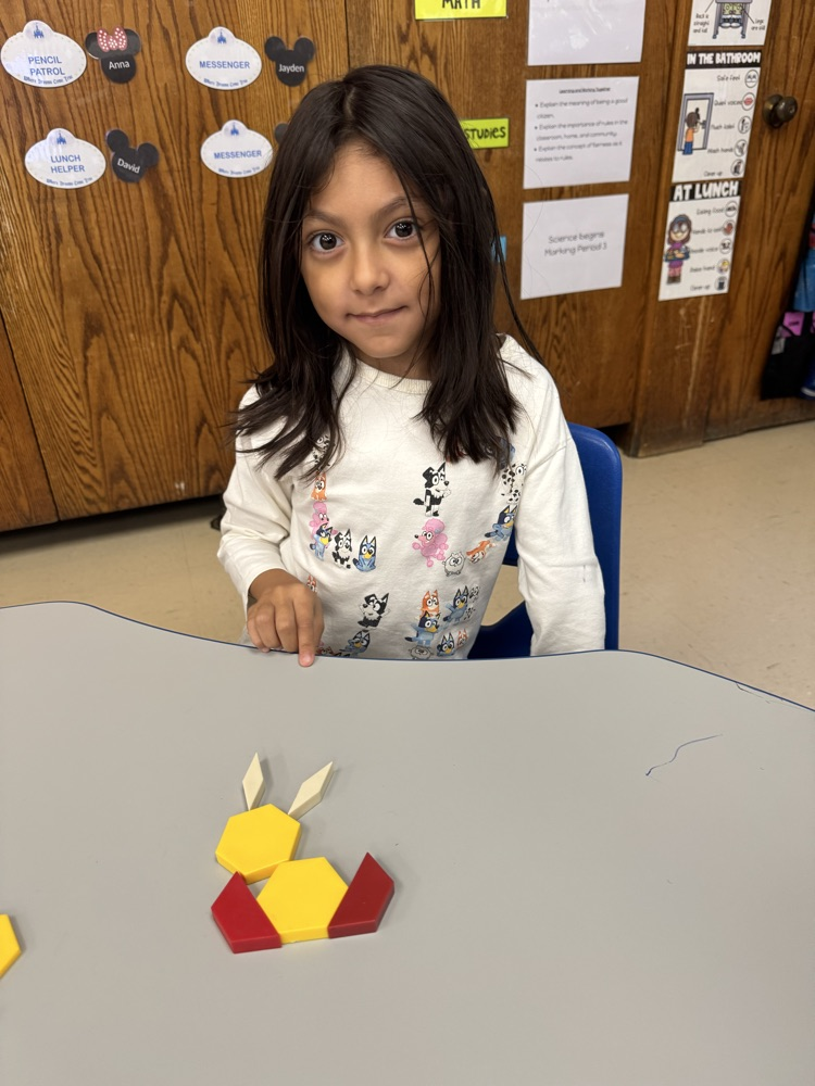 Pattern Blocks
