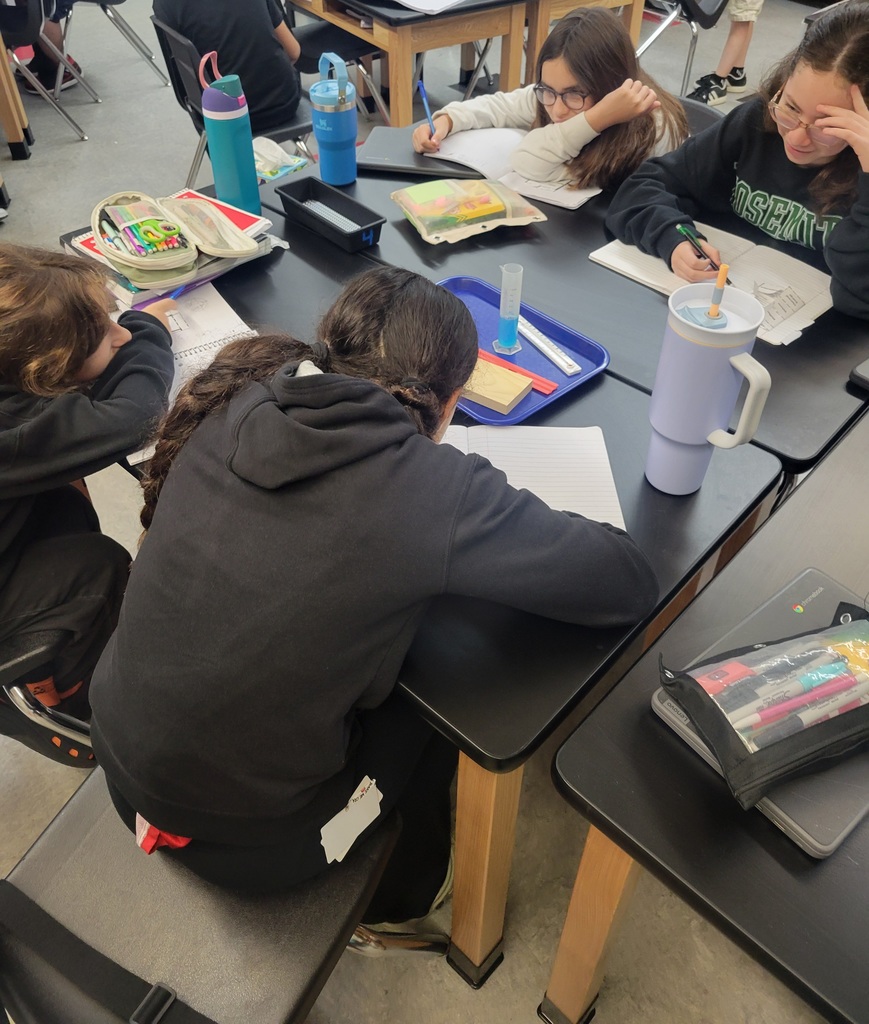 Today our 6th graders enjoyed a fun lab in Science.