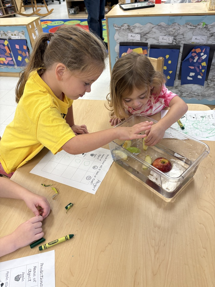 Fun Friday experiment for small group. Do apples sink or float?