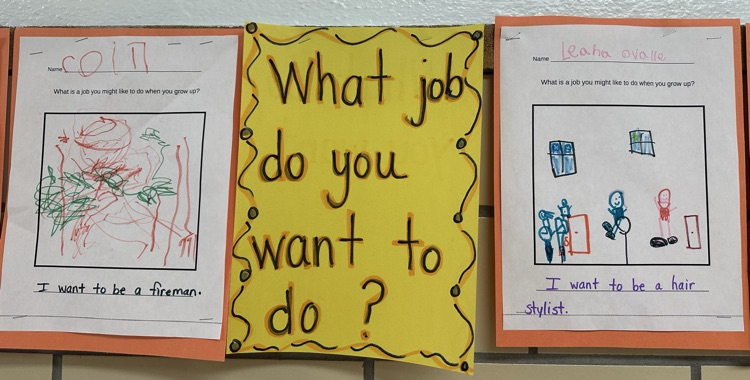 What do you want to do for your job ?