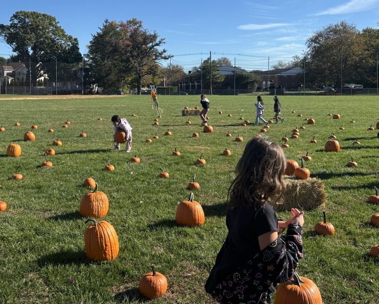 pumpkin picking