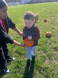 Pre K Pumpkin Picking