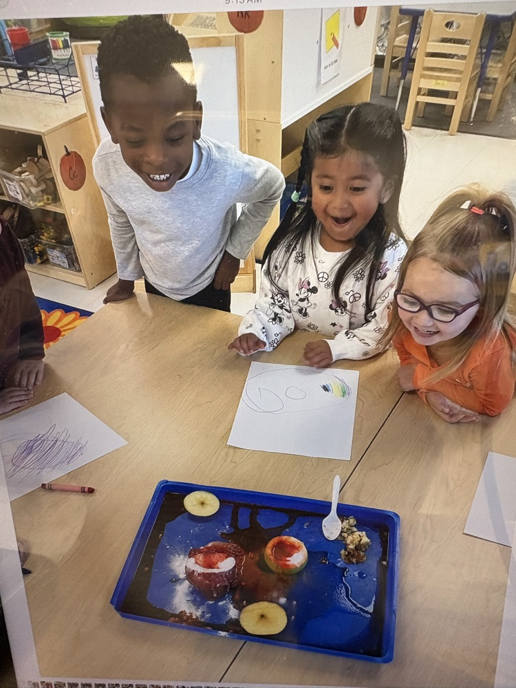 Our apple volcano experiment was fun!