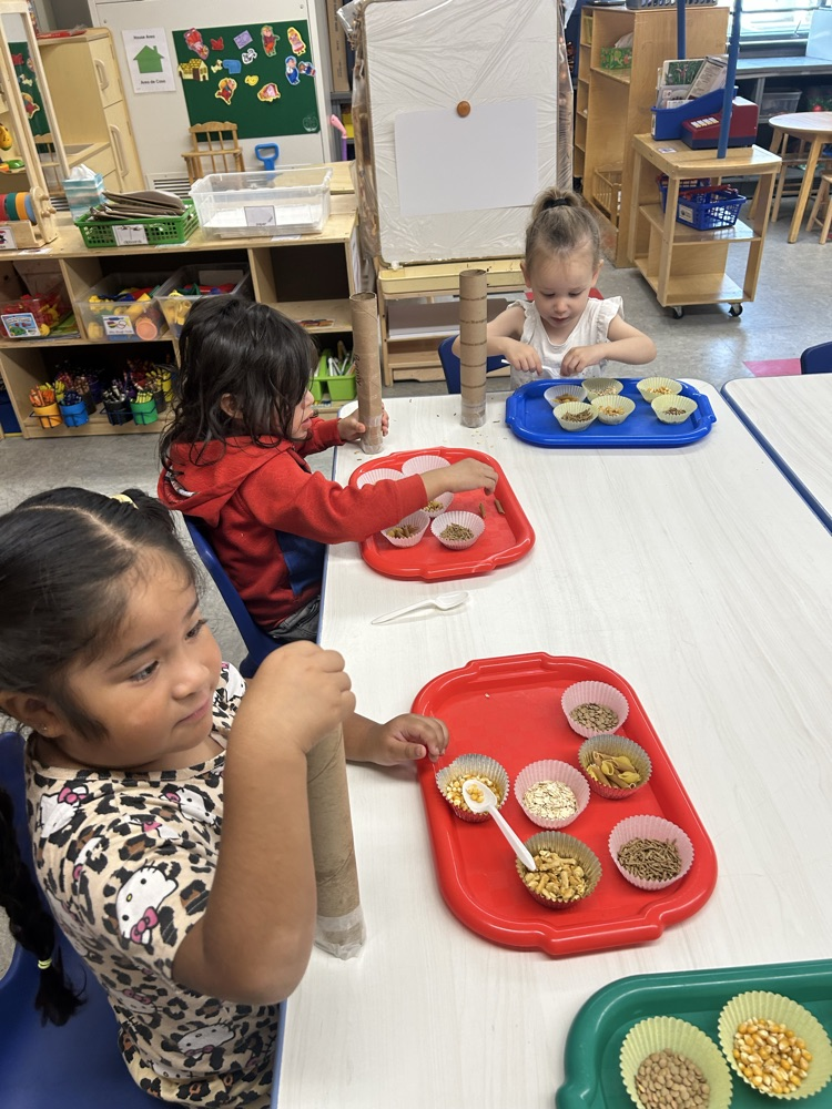 Creating homemade shakers!