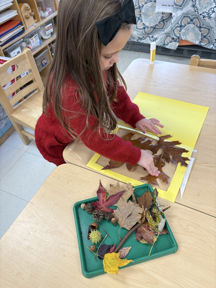 We collected signs of fall and make a collage!