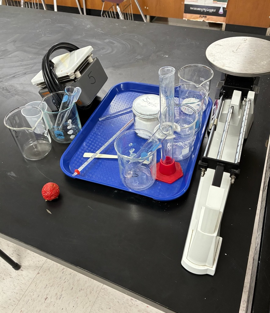 8th Grade Science students getting ready to extract DNA from a strawberry.