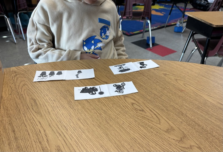 second grade categorizing