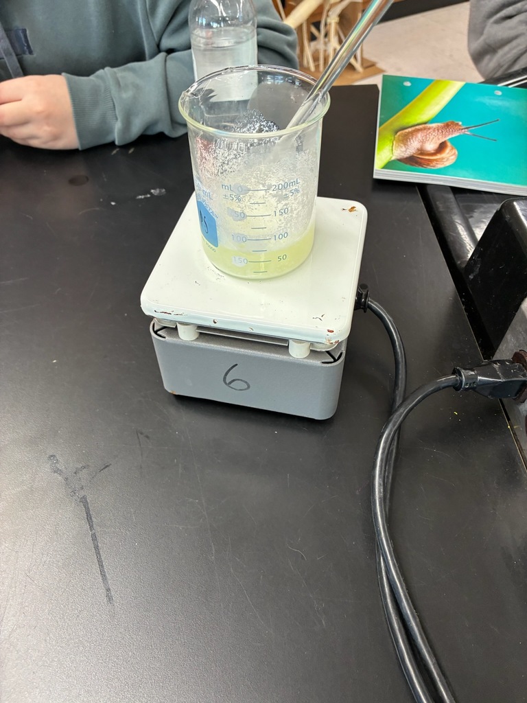 7th Grade science students are using the protein from milk to create glue.